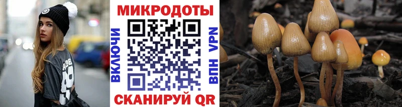 Псилоцибиновые грибы Cubensis  Михайлов 