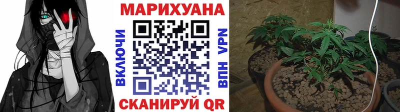 Бошки Шишки Bruce Banner  Михайлов 